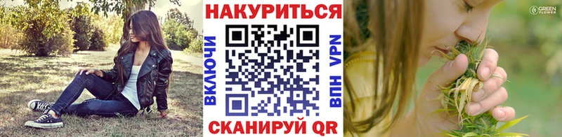 Шишки марихуана SATIVA & INDICA  Купить закладки  Чистополь 